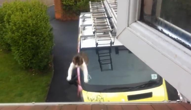 Clipul zilei, Foto: Captura Youtube.com