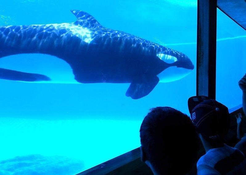 Prin apa, Foto: Ioana Marinache