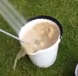 Clipul zilei, Foto: Captura Youtube.com