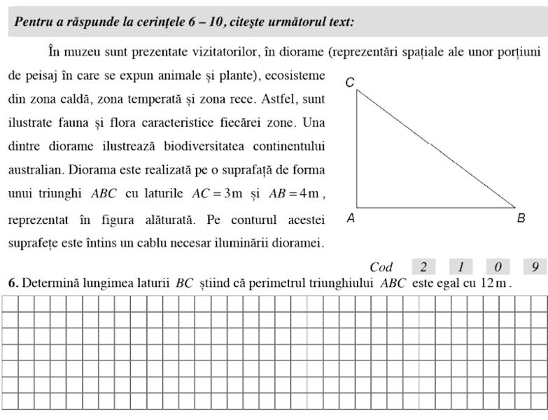 Subiecte Matematica si stiintele naturii, Foto: edu.ro