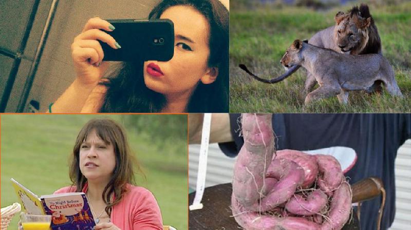 Faze tari, Foto: Colaj foto