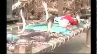 Cobre, Foto: youtube.com