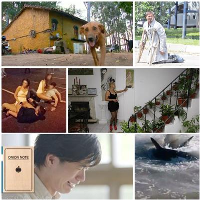 Faze tari, Foto: Colaj foto