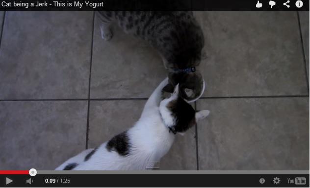 clipul zilei, Foto: Captura YouTube