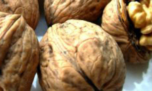 Nucile sunt bogate in proteine, Foto: Dreamstime.com