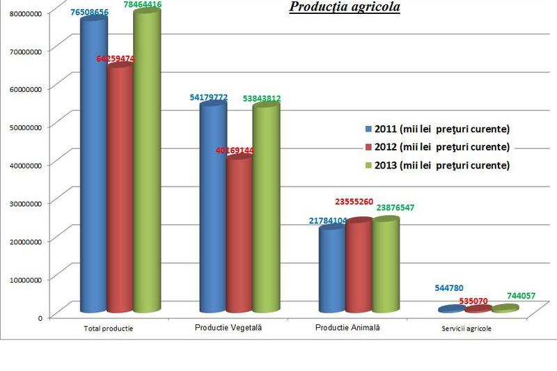 productia agricola, Foto: Hotnews