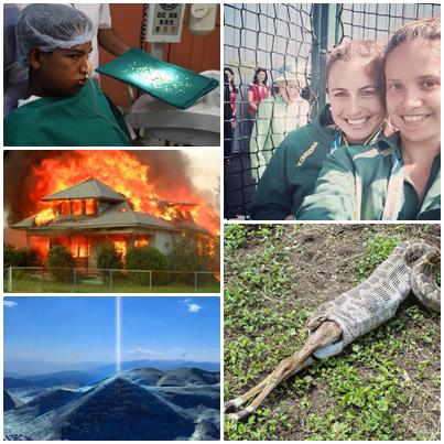 O lume nebuna, Foto: Colaj foto