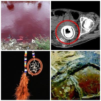 Faze tari, Foto: Colaj foto