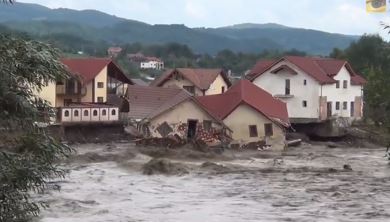 Case luate de ape, Foto: Captura YouTube