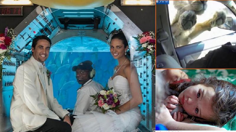 Faze tari, Foto: Colaj foto