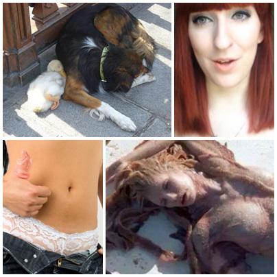 Faze tari, Foto: Colaj foto