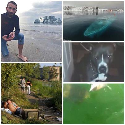 O lume nebuna, Foto: Colaj foto