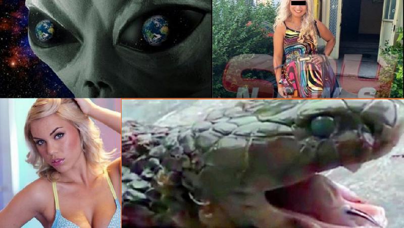 Faze tari, Foto: Colaj foto