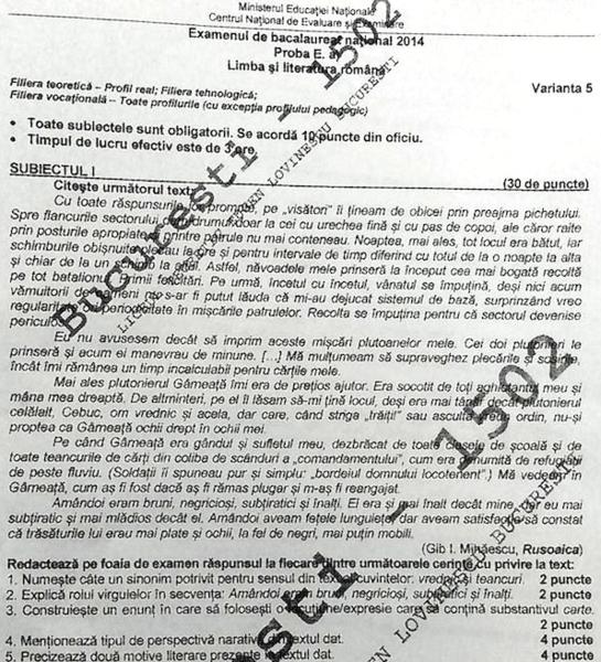 Subiecte Limba si literatura romana - BAC 2014 sesiunea de toamna, Foto: Hotnews