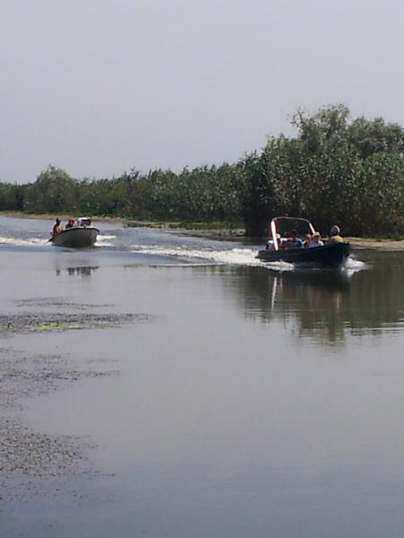 delta !, Foto: USER UPLOADED