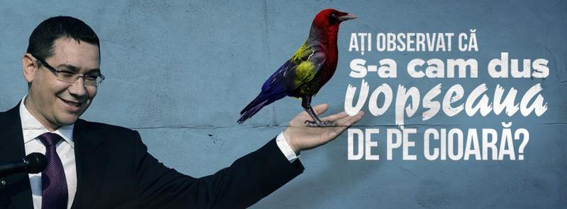 Spuneti NU traseismului politic, Foto: facebook.com/unitisalvam