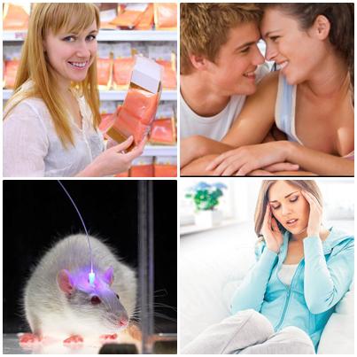 Utile, Foto: Colaj foto