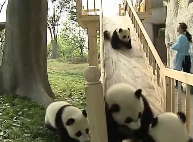 Clipul zilei, Foto: Captura Youtube.com