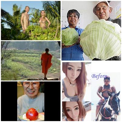 O lume nebuna, Foto: Colaj foto