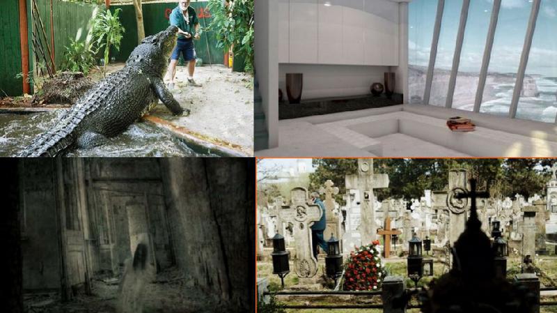 Faze tari, Foto: Colaj foto