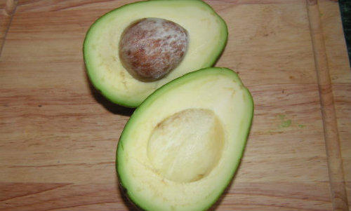 Avocado, Foto: MorgueFile.com