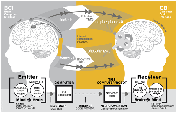 Primele ganduri transmise online, Foto: PLoS ONE