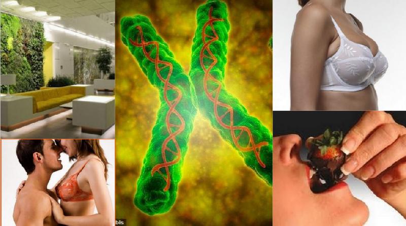 Utile, Foto: Colaj foto