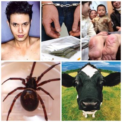 Faze Tari, Foto: Colaj foto