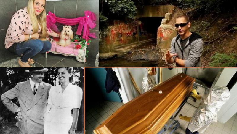 Faze tari, Foto: Colaj foto