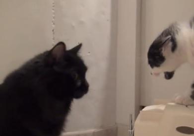 Clipul zilei, Foto: Captura Youtube.com