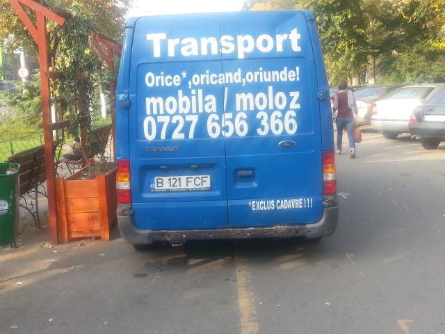 poza zilei, Foto: Hotnews