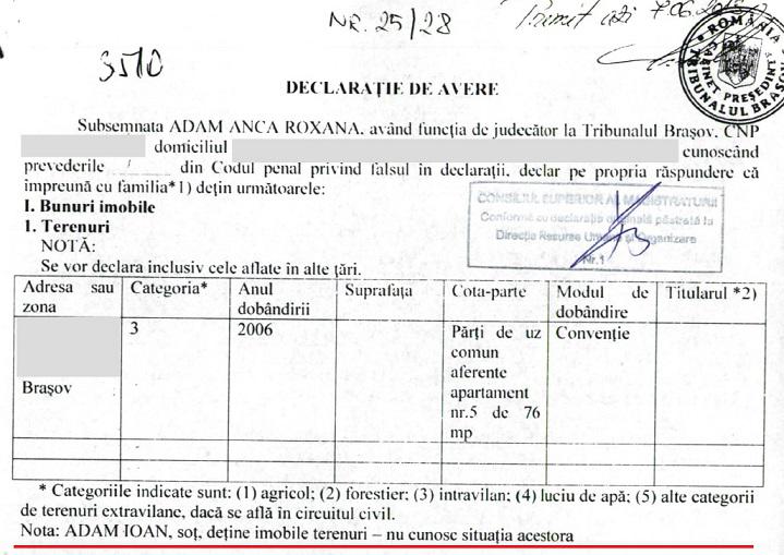 Declaratia sotiei deputatului Adam, Foto: Hotnews