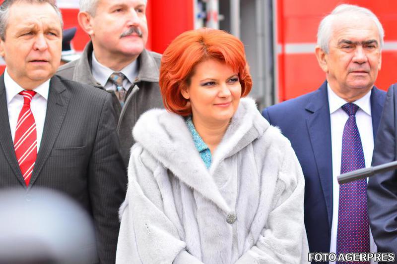 Lia Olguta Vasilescu, Foto: Agerpres