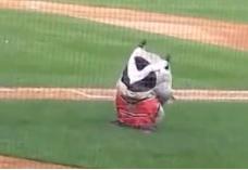 Clipul zilei, Foto: Captura Youtube.com