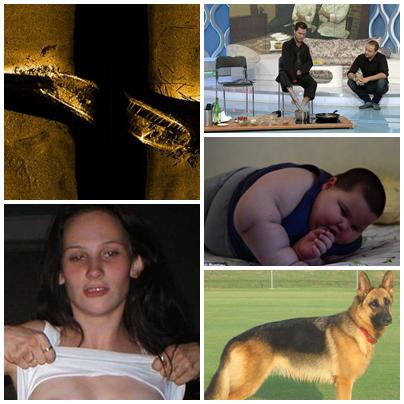 O lume nebuna, Foto: Colaj foto