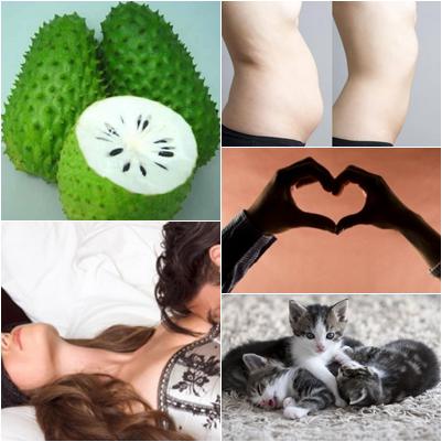 Utile, Foto: Colaj foto