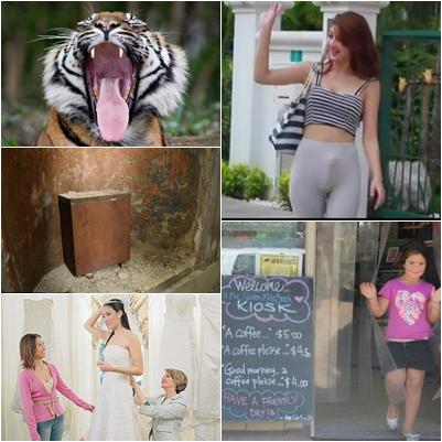 O lume nebuna, Foto: Colaj foto