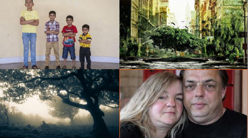 Faze tari, Foto: Colaj foto