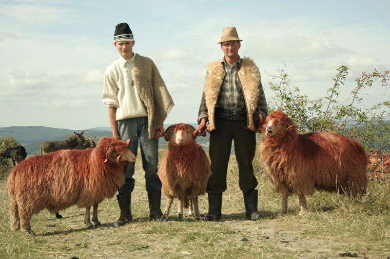 Off the beaten track, captura, Foto: Astra Film