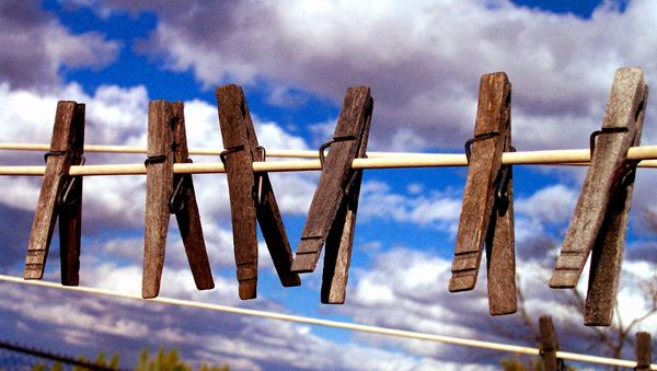 Treburi casnice, Foto: MorgueFile.com