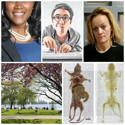 FAZE TARI, Foto: Colaj foto