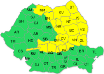 Cod galben de ploi si ninsori