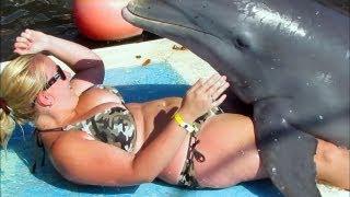 Delfinul pervers, Foto: youtube.com