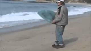 Surfer de ocazie, Foto: YouTube.com