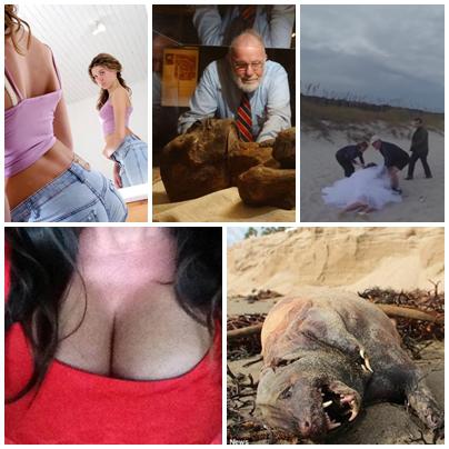 FAZE TARI, Foto: Colaj foto