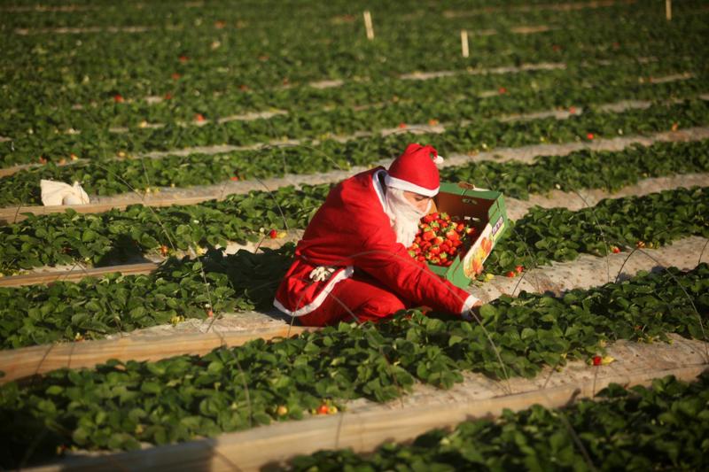 christmas around the world, Foto: The Guardian