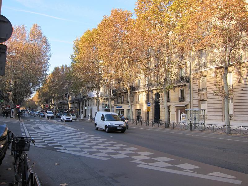 Pe o strada pariziana, Foto: Hotnews