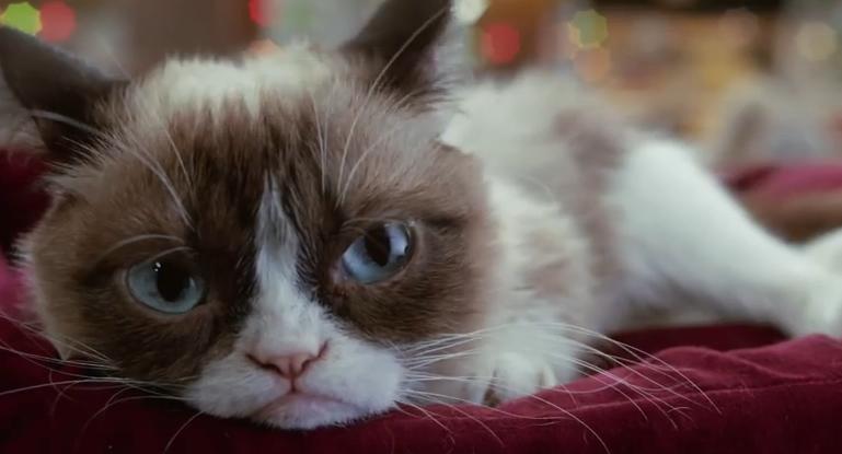 Grumpy Cat's Worst Christmas Ever, Foto: Captura YouTube
