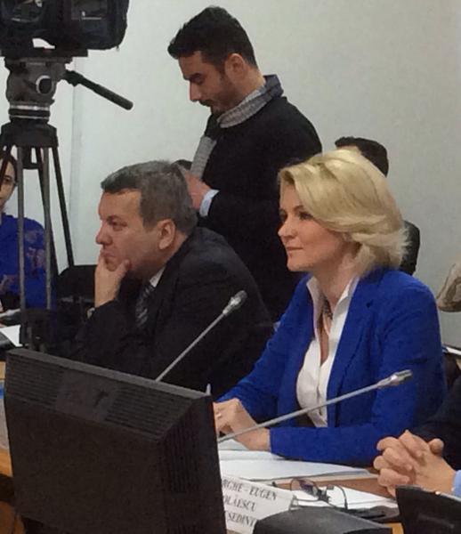 Andreea Paul, la Comisia de Buget, Finante si Banci, Foto: Hotnews