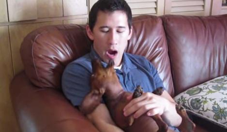 Clipul zilei, Foto: Captura Youtube.com